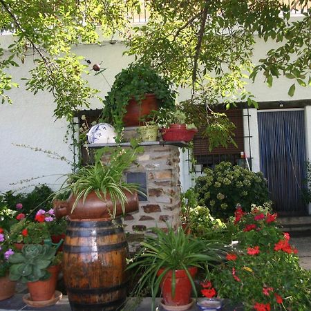 Apartamentos y Casas Rurales Las Terrazas de la Alpujarra Bubión Exterior foto
